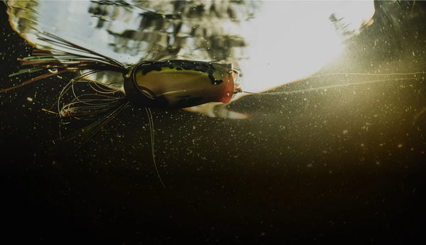 Fishing Tackle Shop Donegal