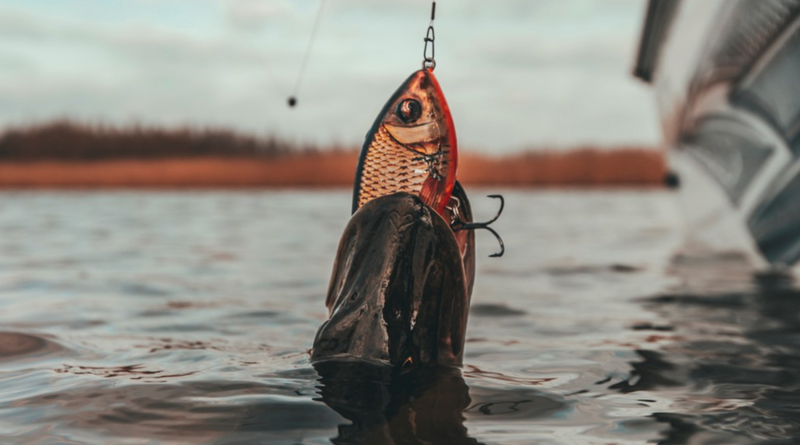 Fishing Tackle and Bait Co. Kerry