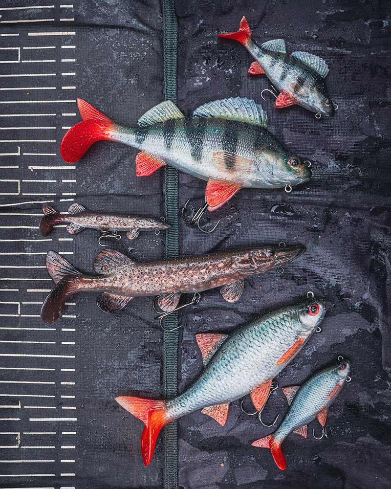 🐟 Fox Rage Ultra Realistic Perch Replicant Lures FOX