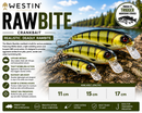 🎣 Westin RawBite 11cm Low Floating WESTIN