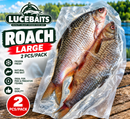 🐟 Large Roach Frozen Pike Deadbait – 2 Pack UK