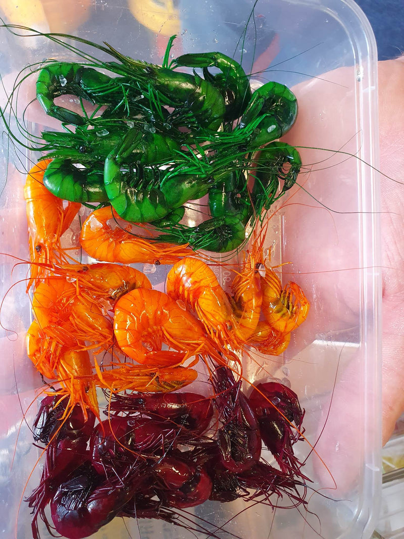 Dyed Fresh Shrimps