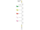 Kinetic Sabiki Rainbow Mix Rigs VIVADO