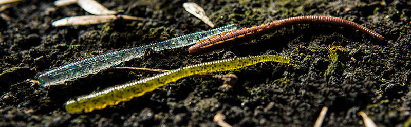 Fishup Scaly 7cm FISHUP