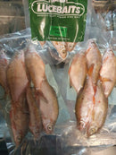 Coarse Fish (4-6 pcs) p28 LUCEBAITS