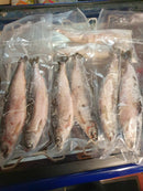 Pollan (2 pcs) VIVADO