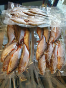 Coarse Fish Small (6 - 10pcs) p28s LUCEBAITS