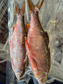 Roach Large 2 pcs/pack UK