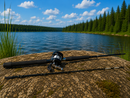 🚤 Dennett Extreme Boat Combo SHAKESPEARE