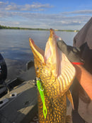 Narval Maxlug 30cm 98g NARVAL