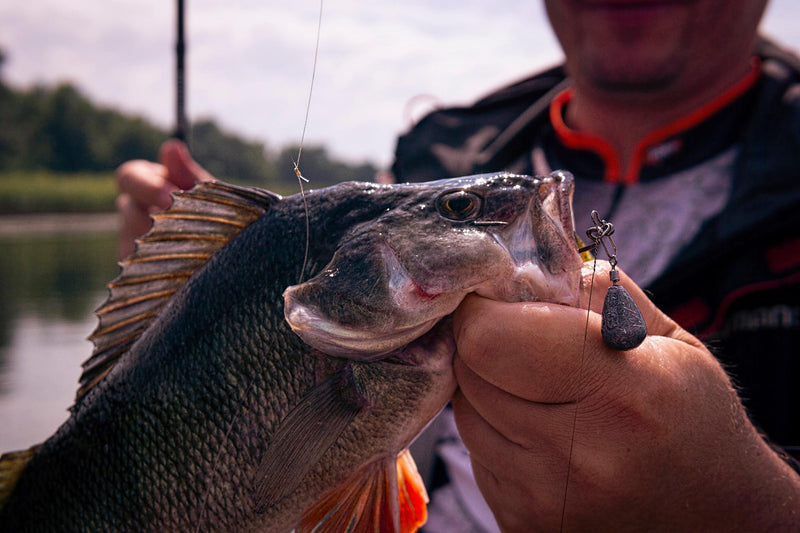 Fishup Vipo 11cm FISHUP