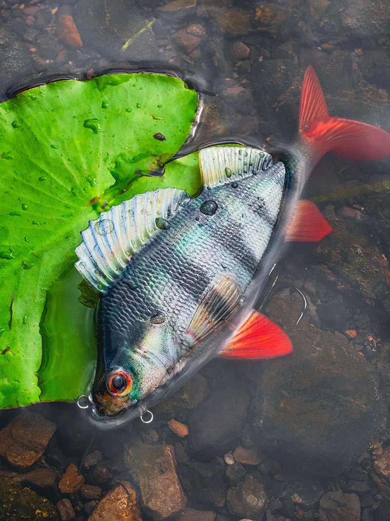 🐟 Fox Rage Ultra Realistic Perch Replicant Lures FOX