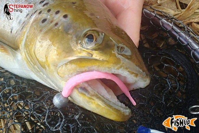 Fishup Scaly 7cm FISHUP