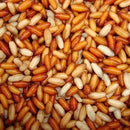 Casters 1/2 pint VIVADO