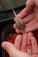 Guru Maggot Feeders GURU