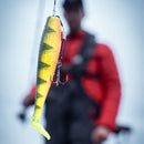 🐟 Fox Rage Zander Pro Shads 16cm FOX