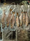 LUCEBAITS Roach Medium (3-4 pcs per pack) VIVADO