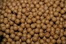 Dynamite Baits Tiger Nut Boilies 5kg 15mm DYNAMITE