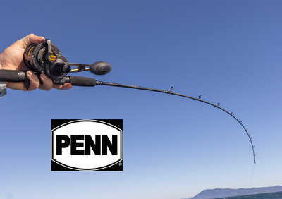 PENN Fishing Tackle Products for Sale Online