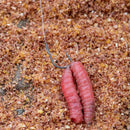 Preston Innovations XFS-B Barbless Hooks PRESTON INNOVATIONS