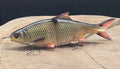 🎣 Savage Gear 3D Glide Roach 23cm 170g - Slow Sink SAVAGE GEAR