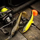 Westin Bullteez R2F 18cm 70g pike soft lure