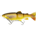 WESTIN Tommy The Trout Inline SS WESTIN