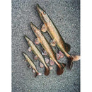 🐟 Fox Rage Ultra-Realistic Pike Replicant Lures FOX