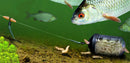 🎣 Rive Quick Feeder Heli Rigs RIVE