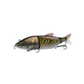 Shimano Yasei Soul Swim Swimbait 23cm (110g) SLow Sinking SHIMANO
