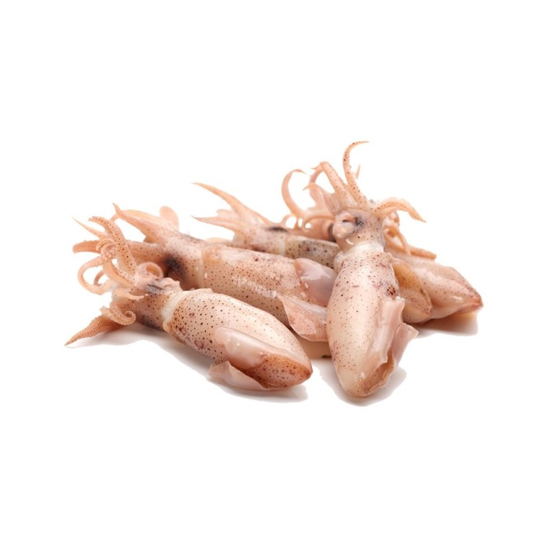 Squid (3-4 pcs) VIVADO