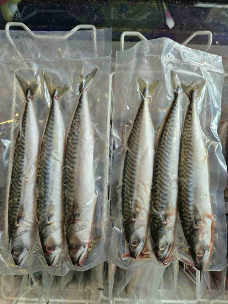 Joey Mackerel 3 pcs/pack LUCEBAITS