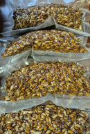 Vacuum Packed Casters VIVADO