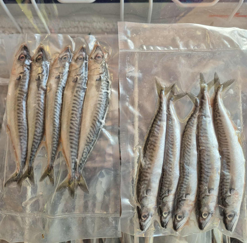 Mini Mackerel 5 pcs/pack LUCEBAITS