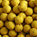 Mainline Shelf Life Boilies Essential Cell 1kg MAINLINE