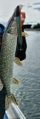 Westin Jätte Crankbait 23cm 101g Floating WESTIN