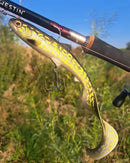Westin BullTeez Curltail R2F 21cm 73g Lures WESTIN