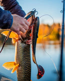 Westin Bullteez Curltail Inline 33cm 230g WESTIN