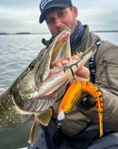 Westin Ricky The Roach Multi Jointed R2F 14cm 41g WESTIN