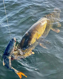 Westin Ricky The Roach Inline Lures Sinking 35cm 585g WESTIN