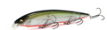 🐟 Megabass Kanata+1  16cm 31g MEGABASS