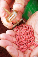 Drennan Bolt Rig Feeder Cages DRENNAN