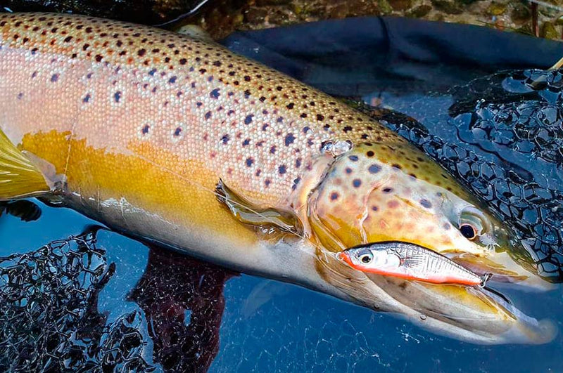 Savage Gear 3D Sticklebait Pencil 5.5cm 7g SAVAGE GEAR