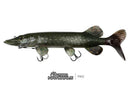 🐟 Fox Rage Ultra Natural Pike Replicant Lures FOX