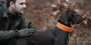 HUNTING SAFETY MULTITAPE FOR DOG HILLMAN