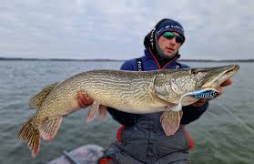 Westin Swim Tail 62g Suspending WESTIN