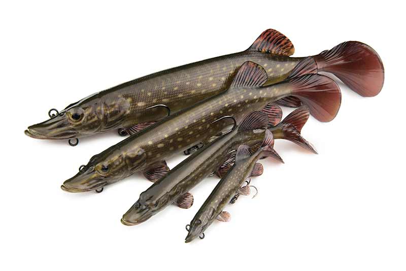 🐟 Fox Rage Ultra-Realistic Pike Replicant Lures FOX