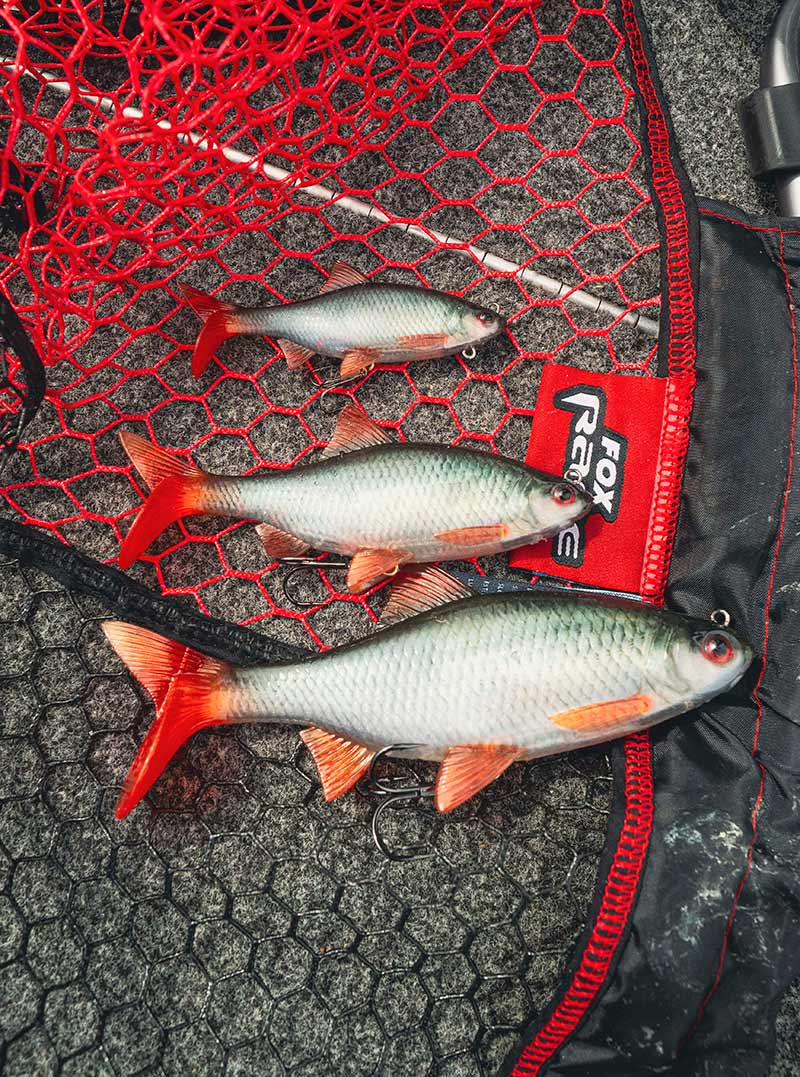 Fox Rage Ultra Realistic Roach Replicant Lures FOX