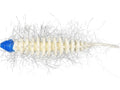 Westin Needle Bug 6.5cm  Garlic & Cheese Scented Lures 5pcs/pack WESTIN