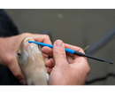 🎣 Preston Innovations Floater Disgorger Baiting Needle PRESTON INNOVATIONS
